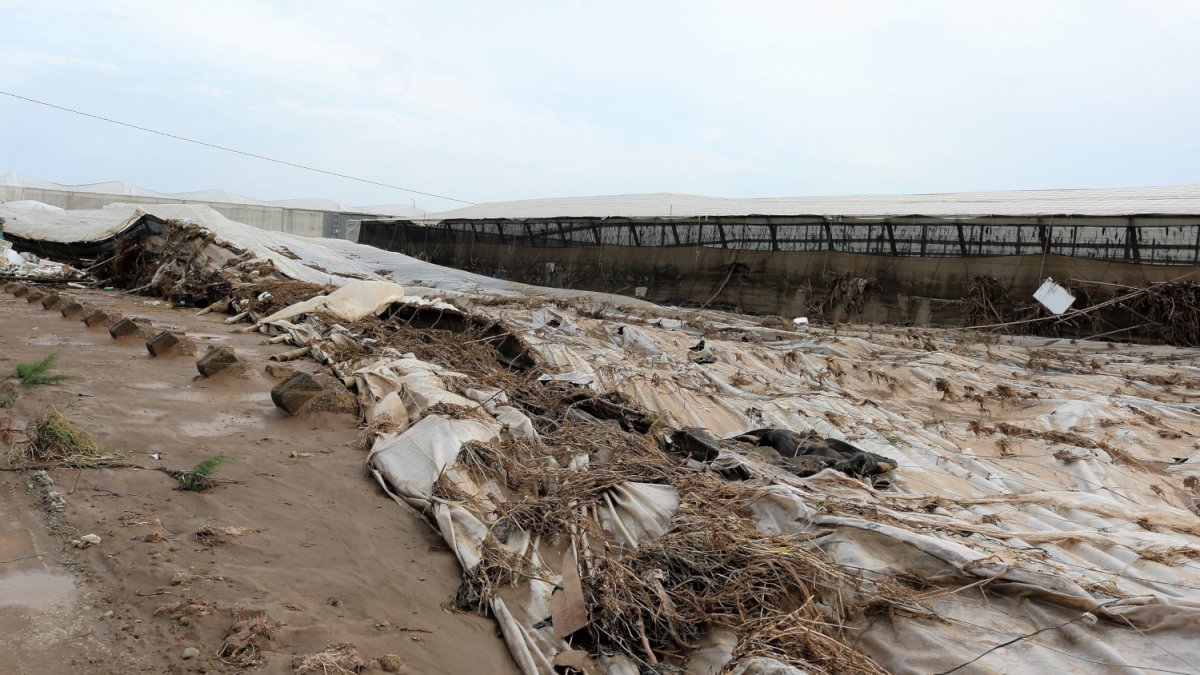 El Gobierno andaluz busca garantizar la liquidez y proteger al sector primario a través de una herramienta de gestión de riesgos eficaz