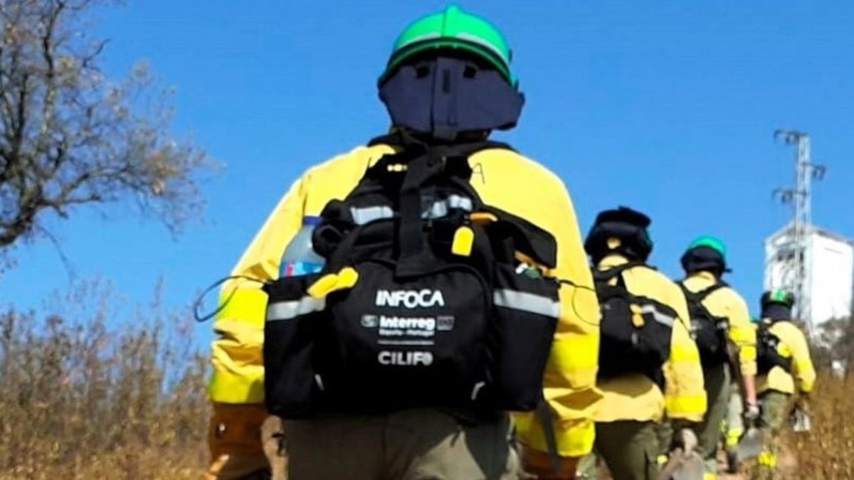 Archivo - Imagen de recurso del Plan Infoca.