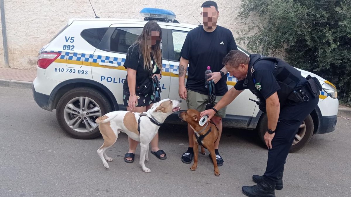 Agentes comprobando el chip de un perro en Huércal-Overa.