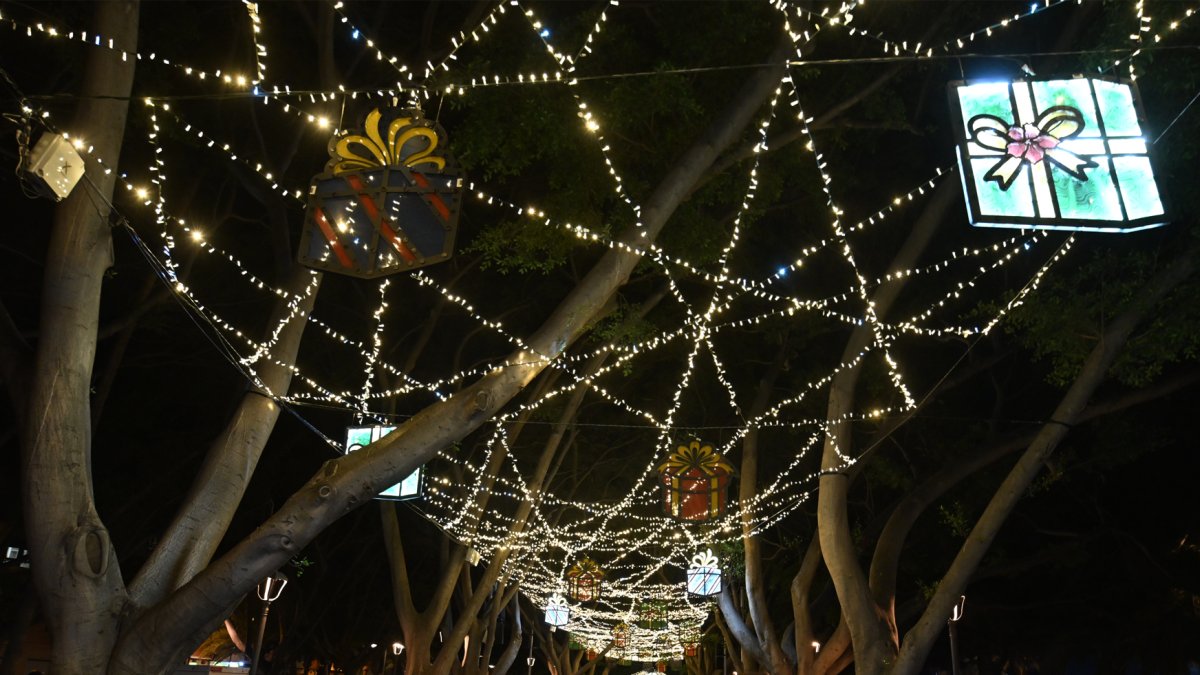 Era el día de la Constitución, pero parecía que era Navidad.