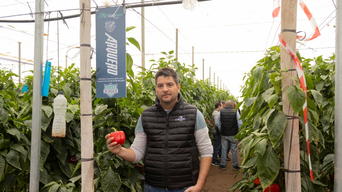 El campo almeriense respalda a ‘Arquero’: CapGen Seeds consolida en El Ejido su nueva línea de