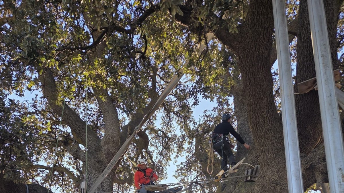 Instalación de nuevos anclajes para preservar La Peana de Serón (Almería).