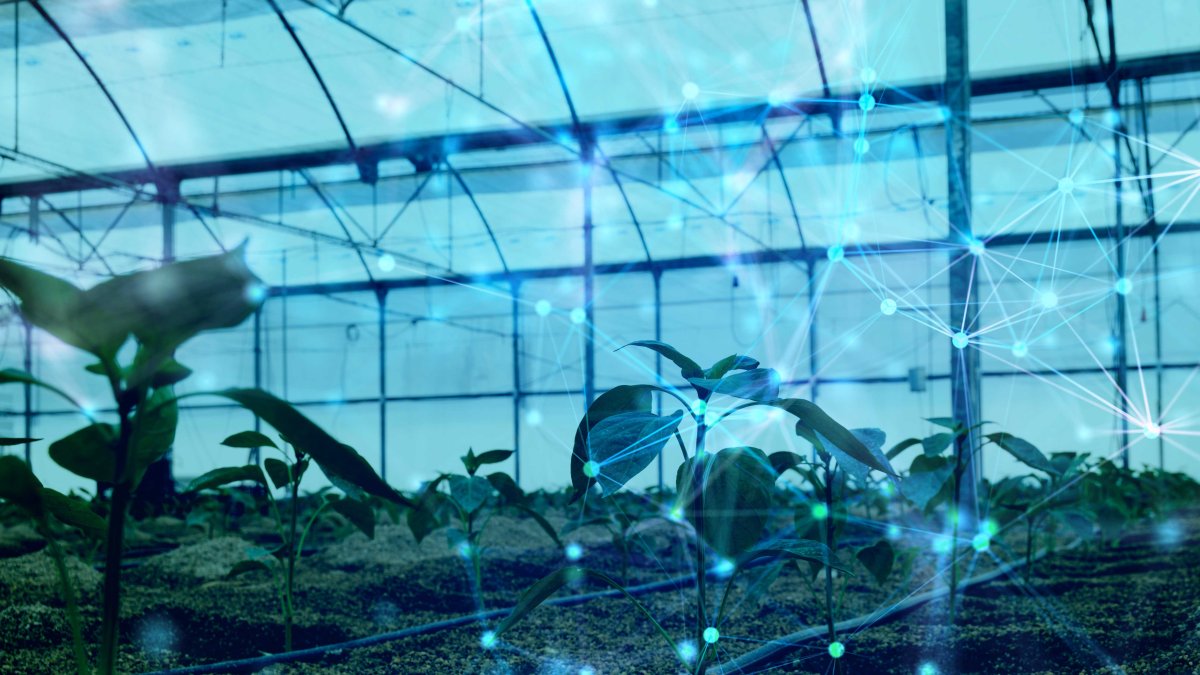 ¿Por qué no puede ser Almería el Silicon Valley de la nueva Agricultura mundial?