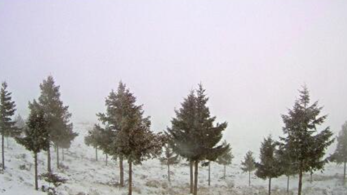 Las inmediaciones de Calar Alto, cubiertas de nieve en la tarde de este lunes.