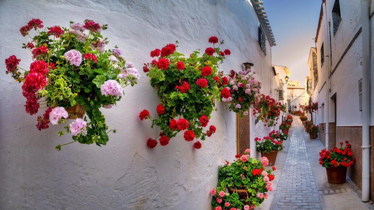Una de las floreadas calles de Lucainena de las Torres.