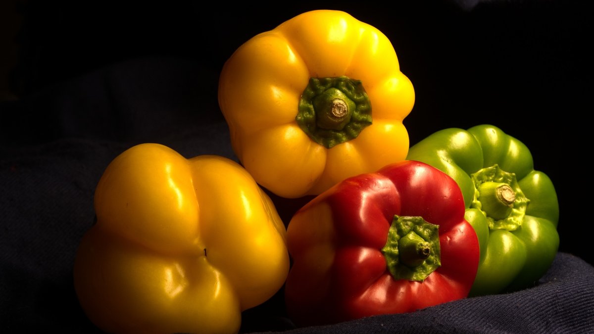 Su aguante en planta permite al agricultor decidir cuándo quiere recolectar, ayudándole a rentabilizar al máximo su producción.