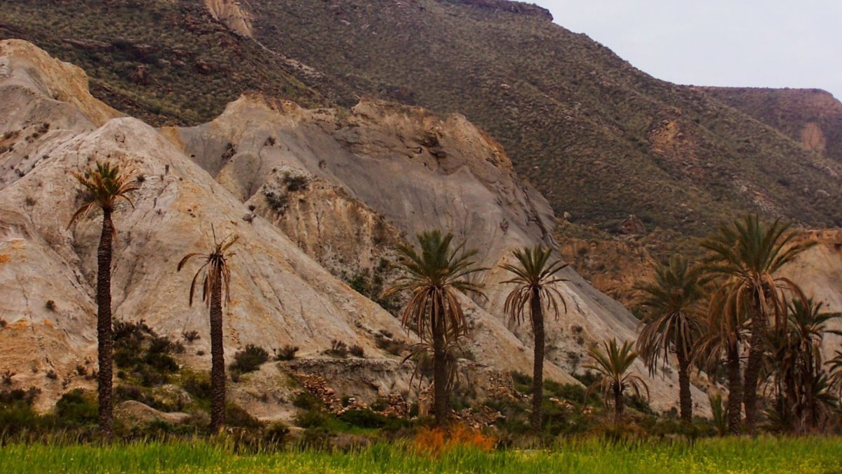 El Desierto de Tabernas es una de las zonas más buscadas para hacer una ruta de senderismo en Almería.