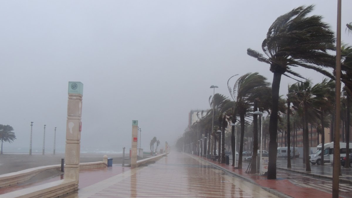 Imagen de archivo de un día de lluvia y viento.