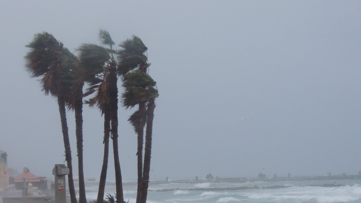 Imagen del Paseo Marítimo de Almería.