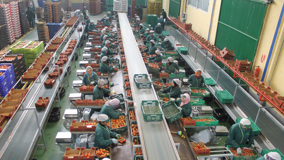 Almacén hortofrutícola en Almería.