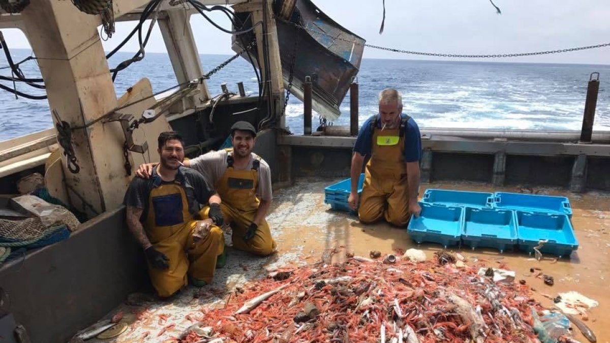 Capturas de marisco de un barco de la provincia.