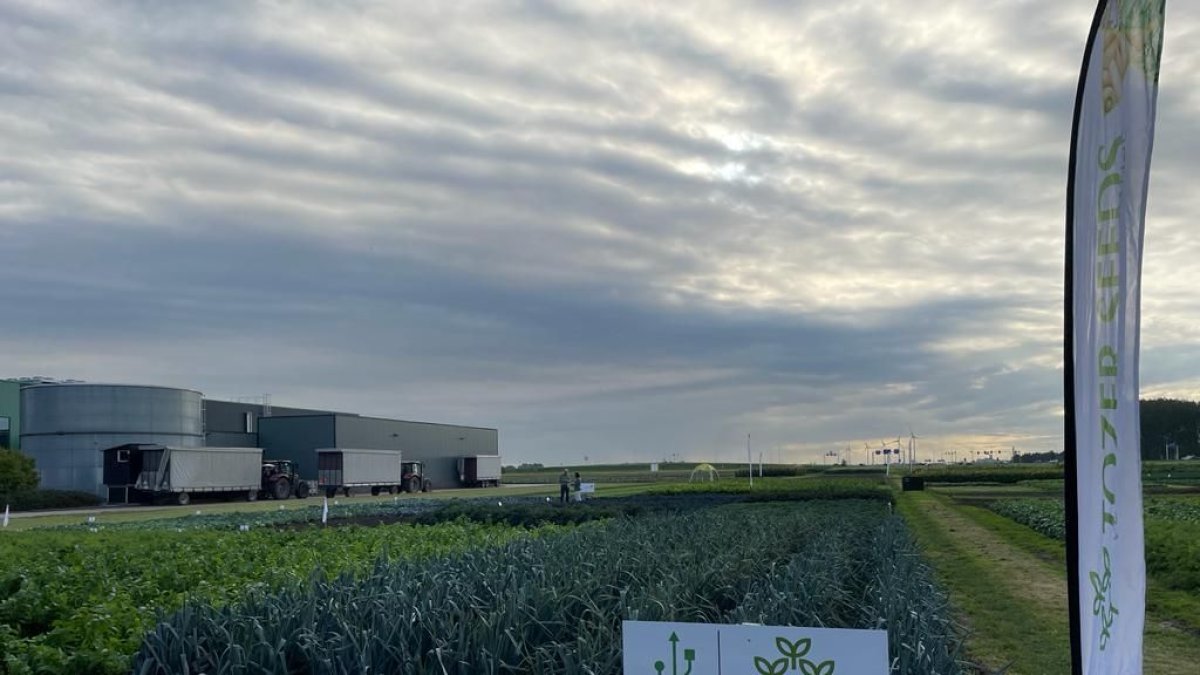 Tozer Seeds es una empresa independiente y de éxito dedicada a la mejora genética de hortalizas, con sede en el Reino Unido.