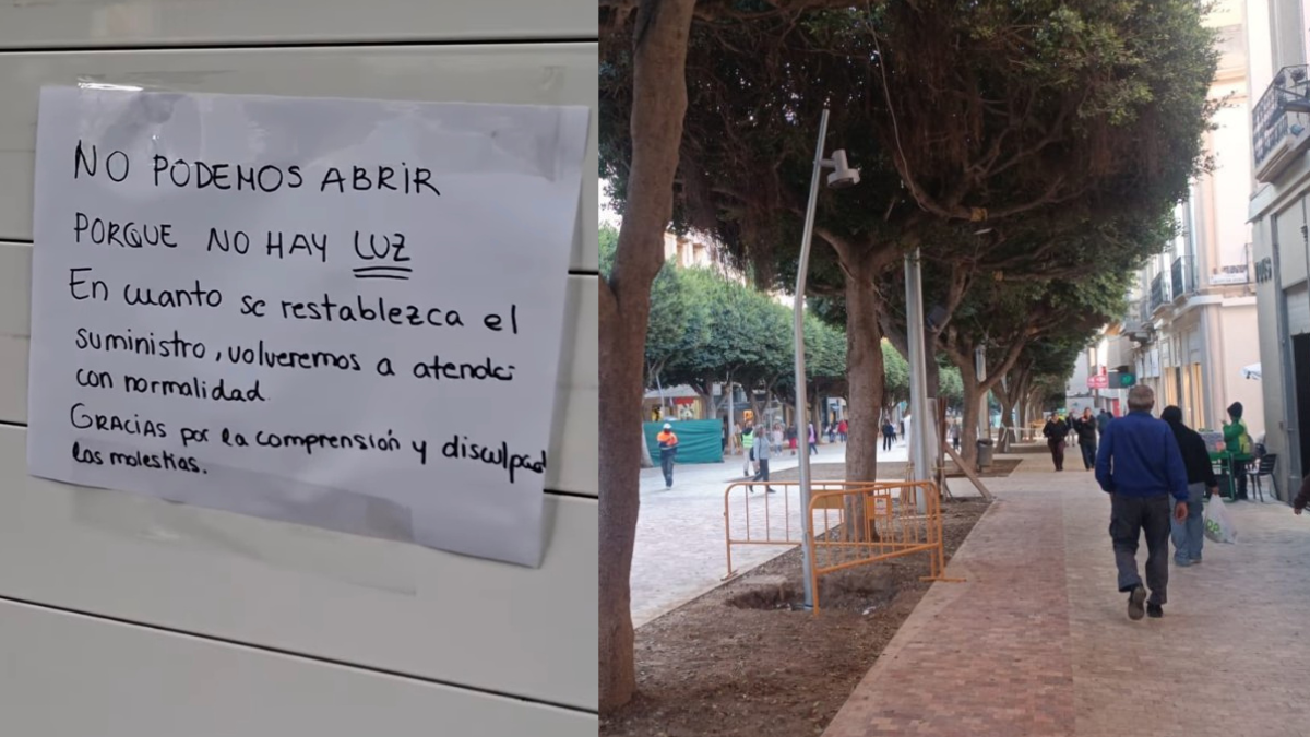 Cartel colgado por una farmacia del Paseo de Almería que no ha podido prestar servicio hoy.