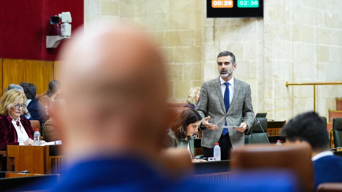 Ramón Fernández-Pacheco en el Parlamento de Andalucía.
