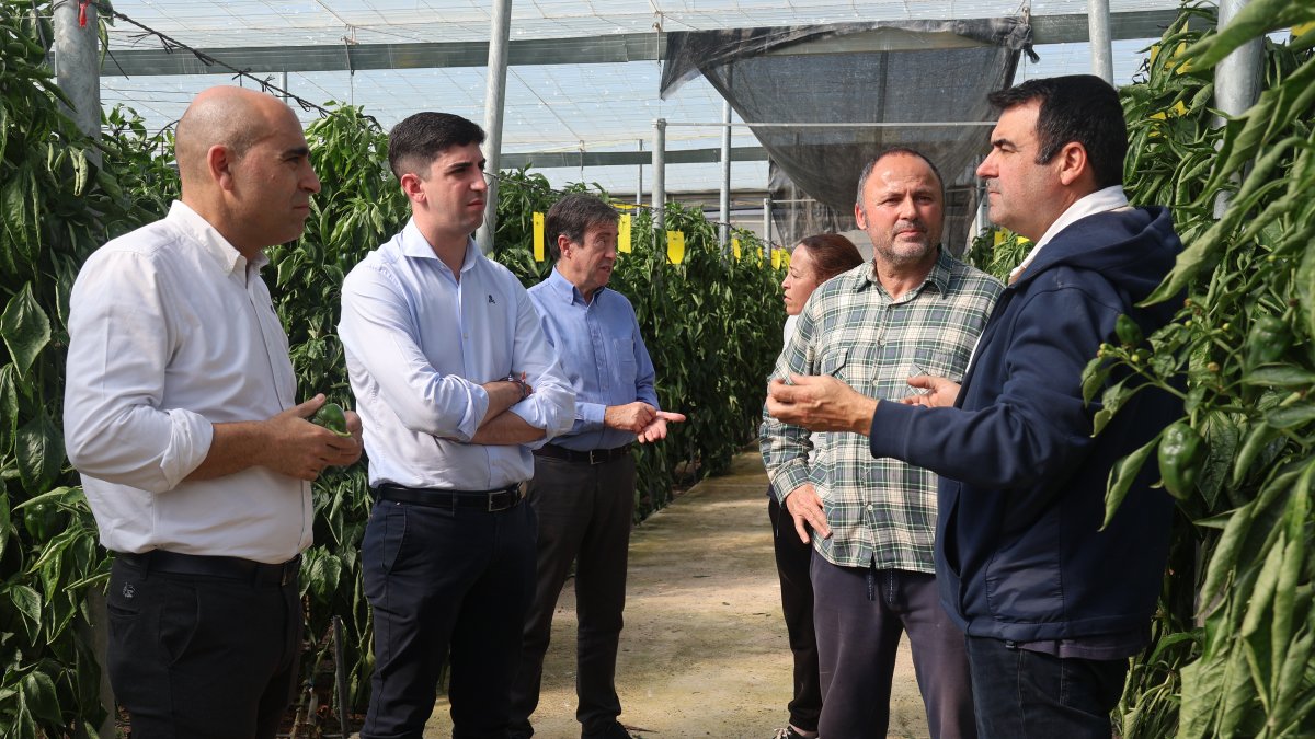 Manuel Martínez y Antonio Mena visitando uno de los invernaderos afectados.