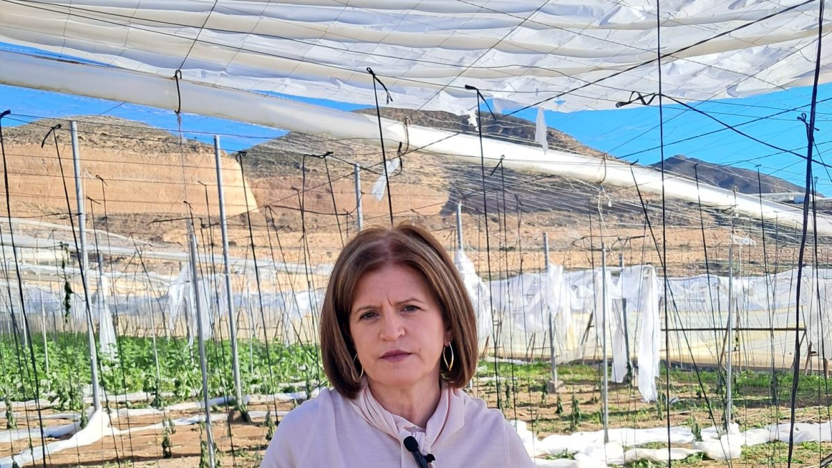 La organización agraria continúa realizando un balance exhaustivo de los daños que los sucesivos temporales de los últimos meses han ocasionado en el sector agrario de la provincia.