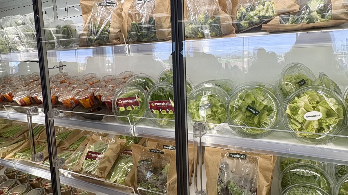 Winter Open Field Days.