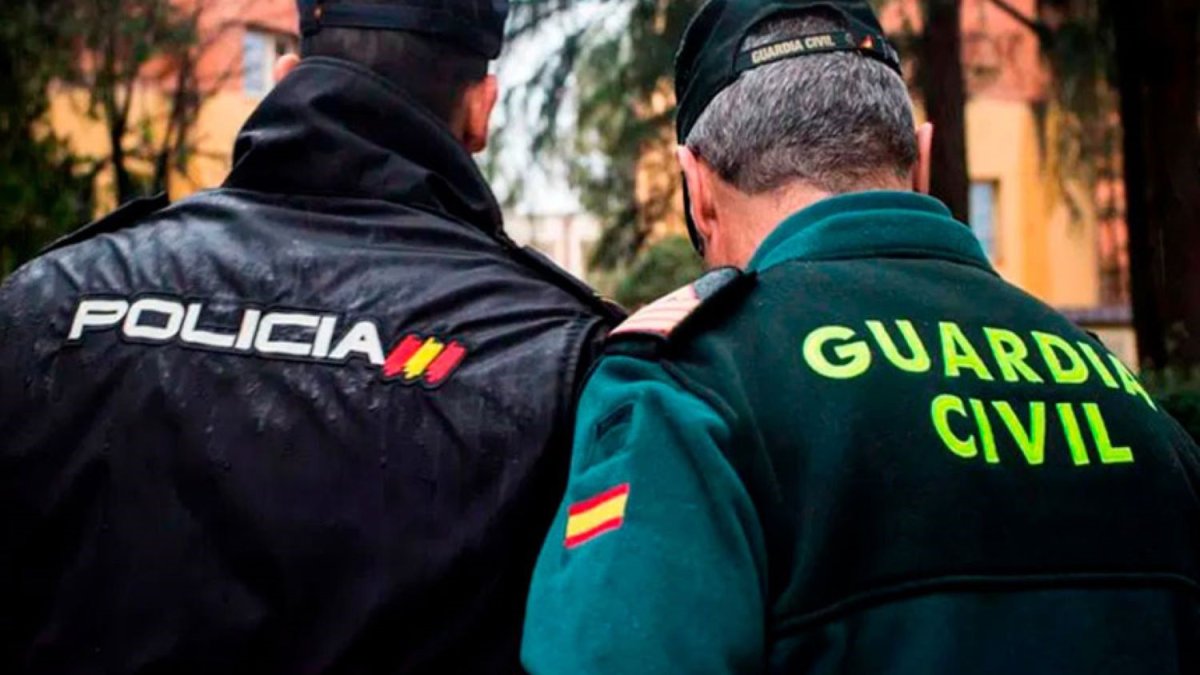 Imagen de archivo de un agente de la Policía Nacional y otro de la Guardia Civil