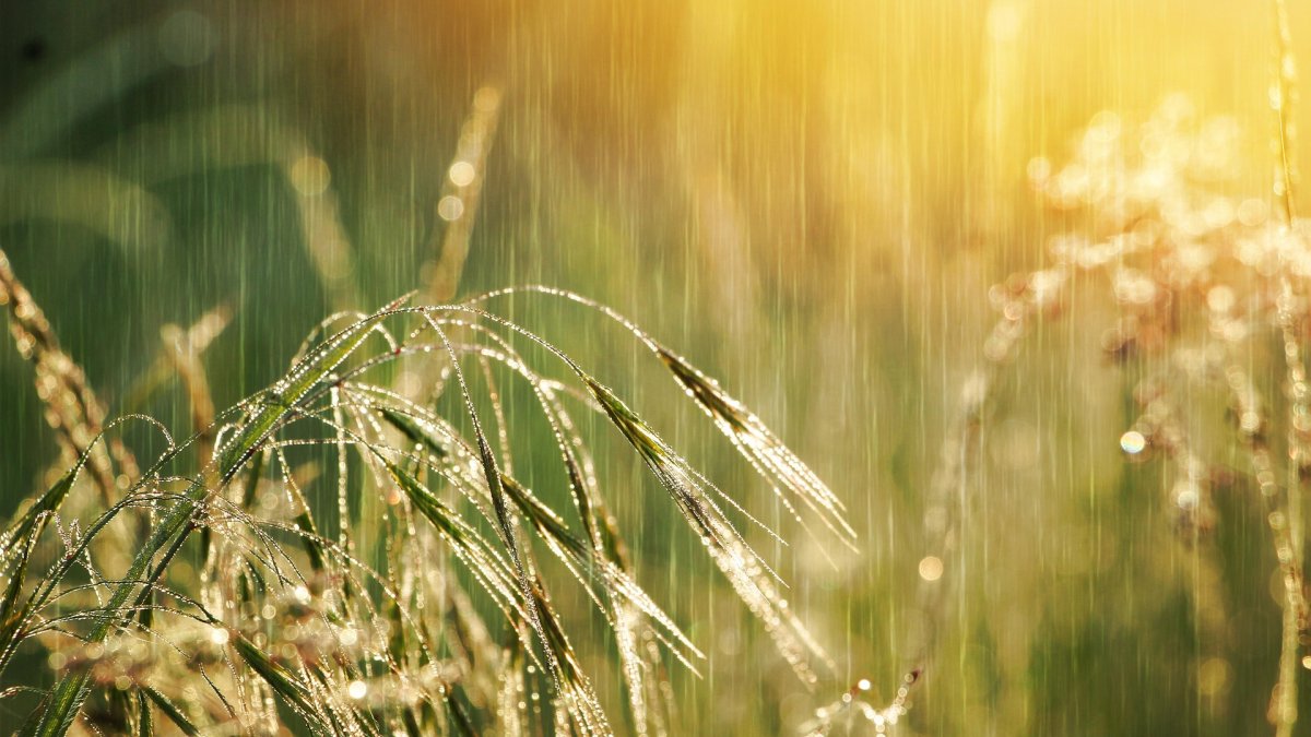 COAG exige un paquete de medidas urgentes para los agricultores y ganaderos de Almería, en el que se incluya además la flexibilización de la PAC para evitar el colapso de las explotaciones