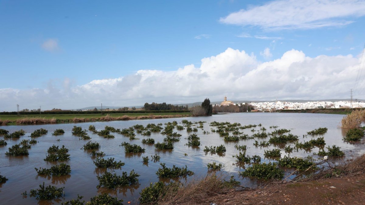Imagen de inundaciones en Cantillana (Sevilla)