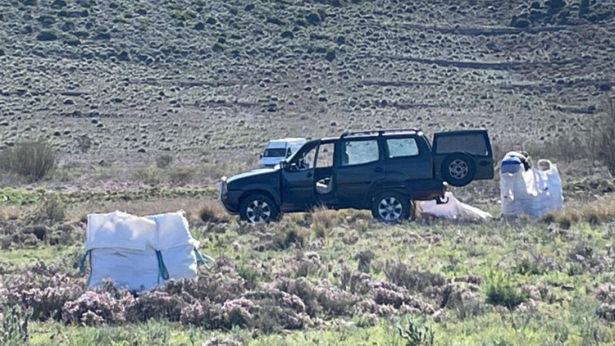 Imagen hecha pública por Amigos del Parque Natural Cabo de Gata-Níjar.