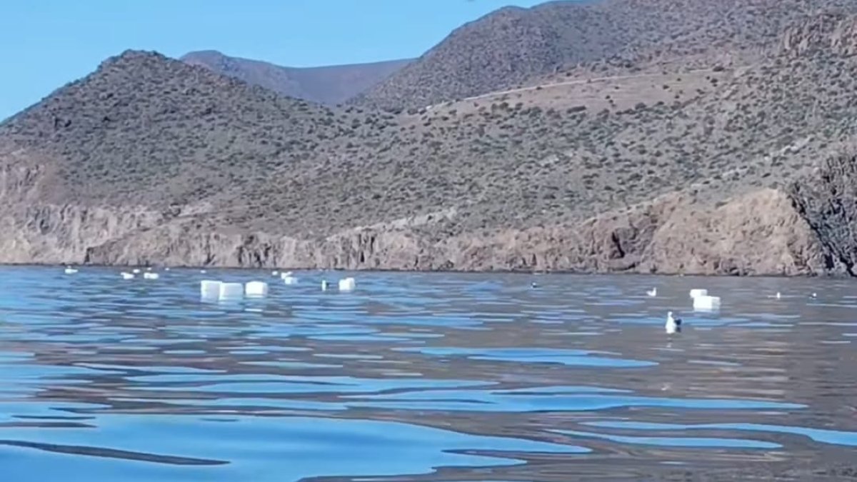 Captura del vídeo con las decenas de garrafas de plástico flotando.