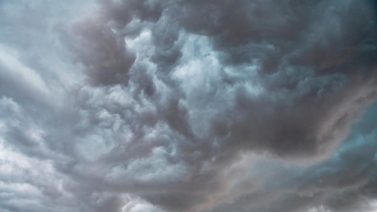 Los agricultores y ganaderos jóvenes, más vulnerables ante los daños