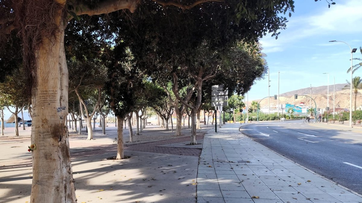 Archivo - Parque de las Almadrabillas, bajo el Cable Inglés de Almería, donde tuvo lugar el accidente.