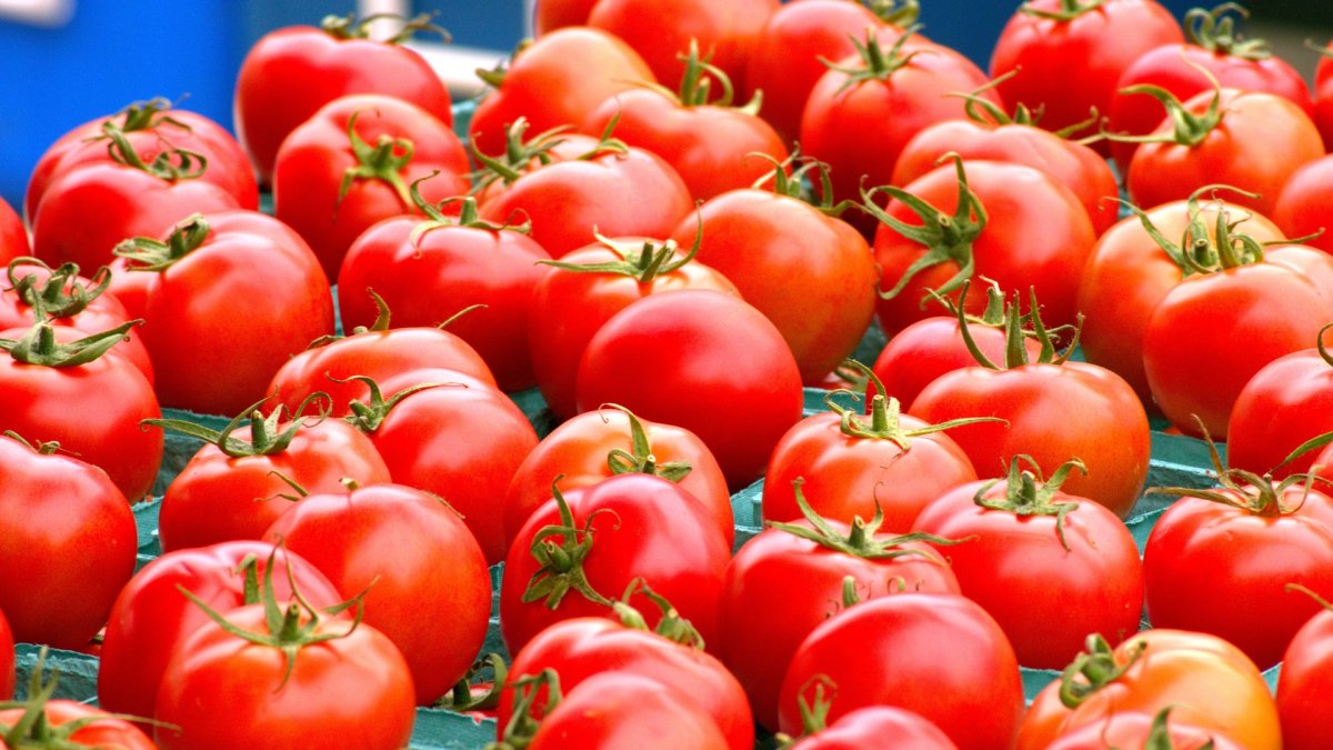 Mientras los camiones marroquíes siguen entrando sin control