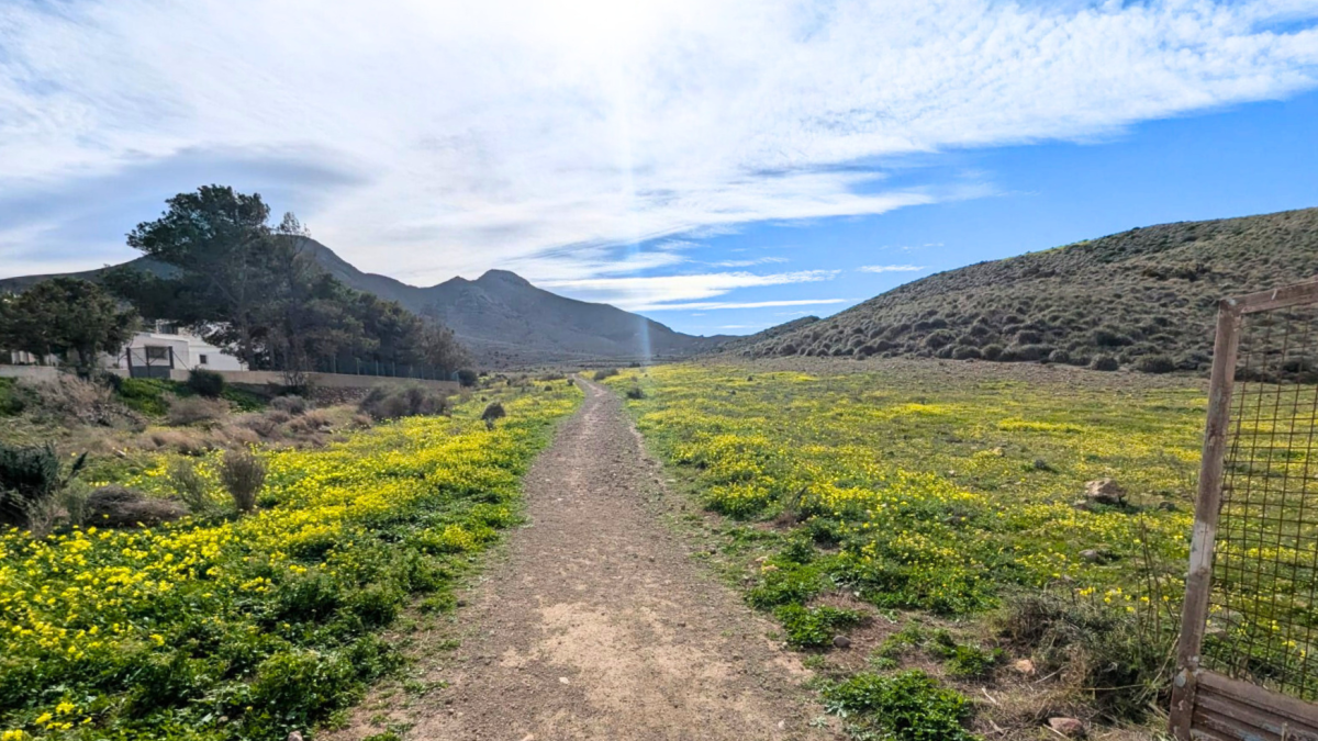 La explosión de colores de la que se puede disfrutar en Níjar durante estos meses.