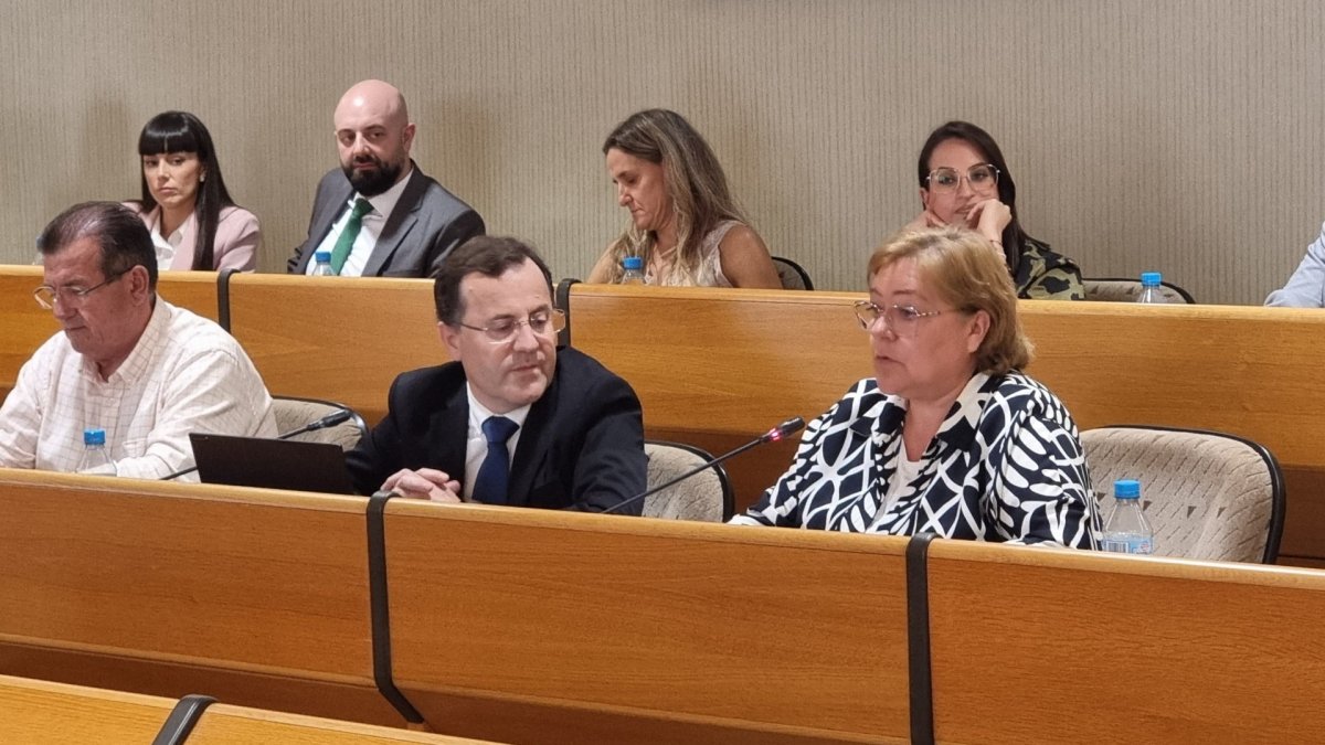 El Grupo Socialista en una sesión plenaria