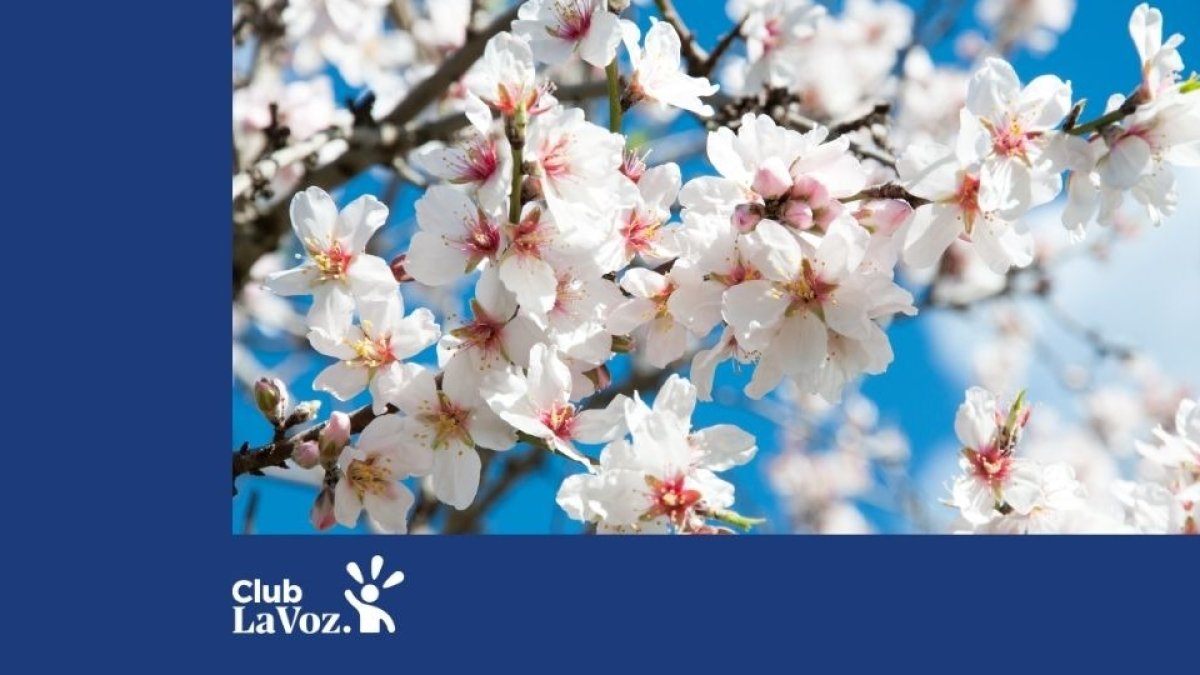 Consulta la programación completa de la actividad aquí.