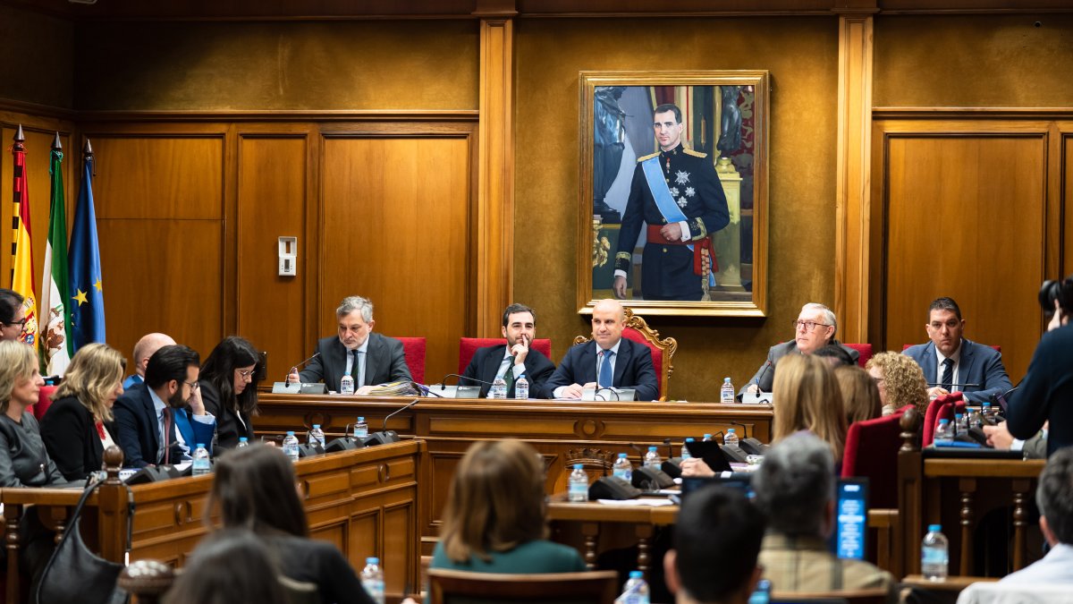 Imagen del pleno en la Diputación Provincial de Almería.