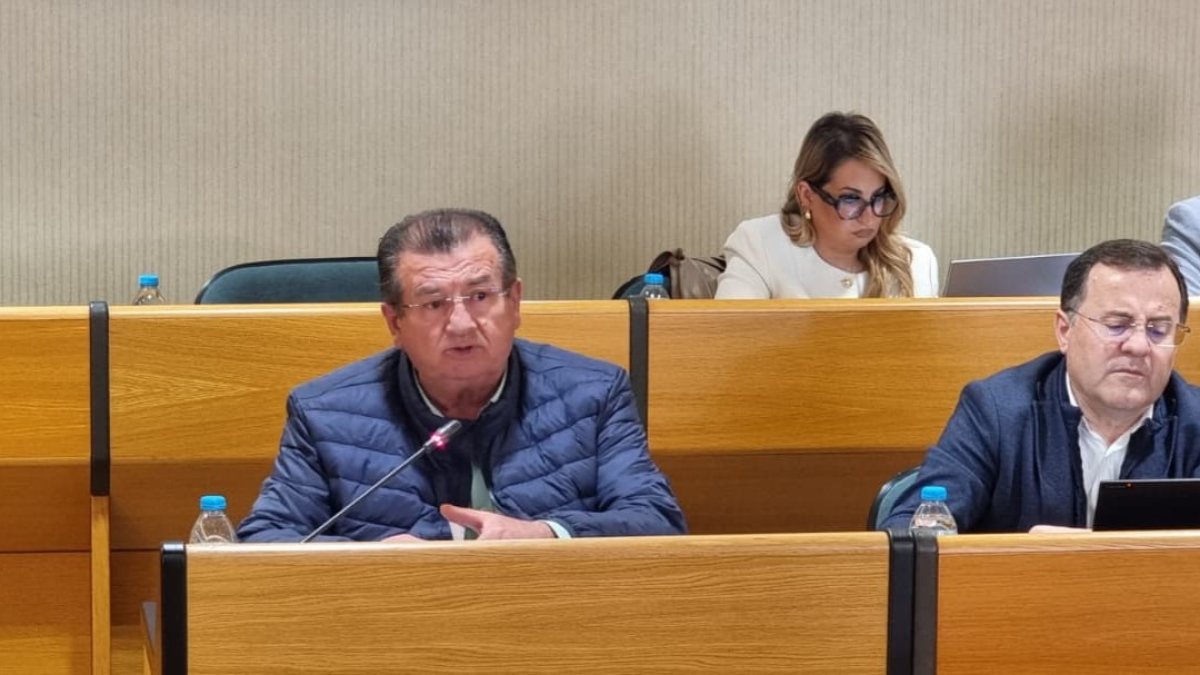 Imagen del pleno en El Ejido.