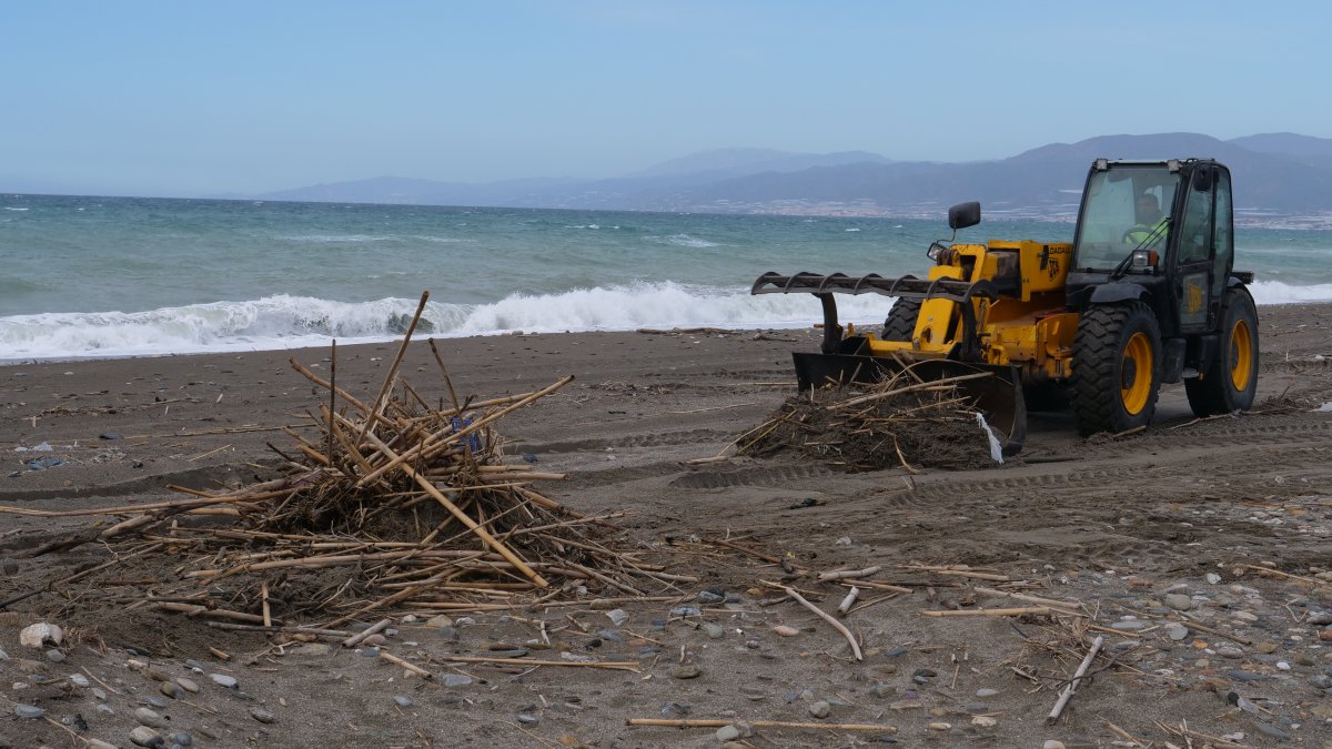 Imagen de la limpieza de playas en El Ejido.