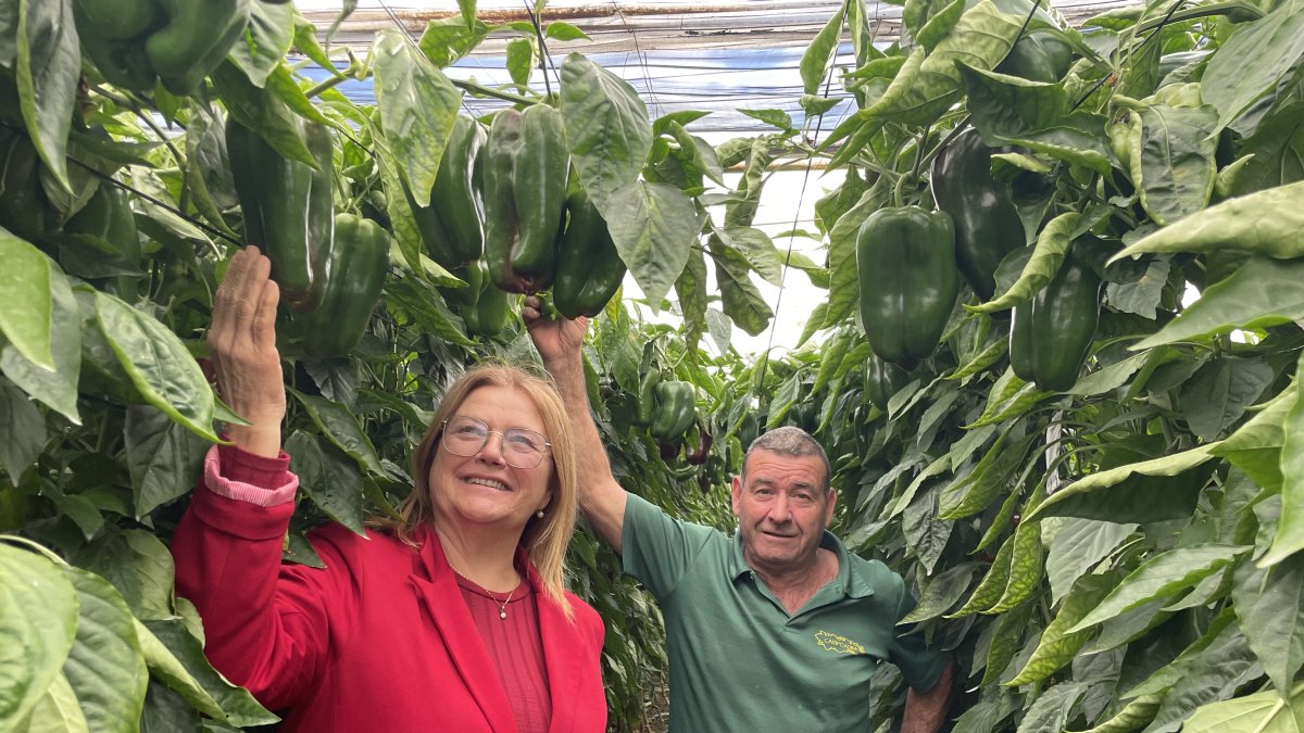 Juani Pérez y José Antonio Prados son un matrimonio de agricultores de Adra, él jubilado, ella sueña con retirarse haciendo talleres en su cortijo en breve