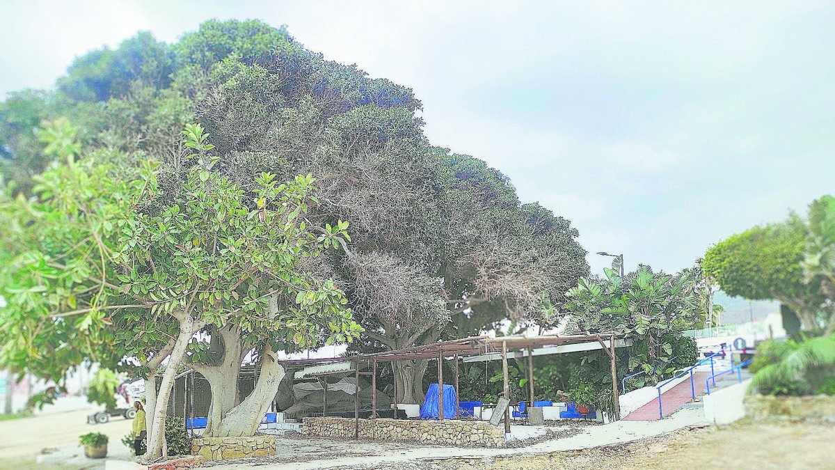 El chiringuito Aku Aku está en obras de remodelación.