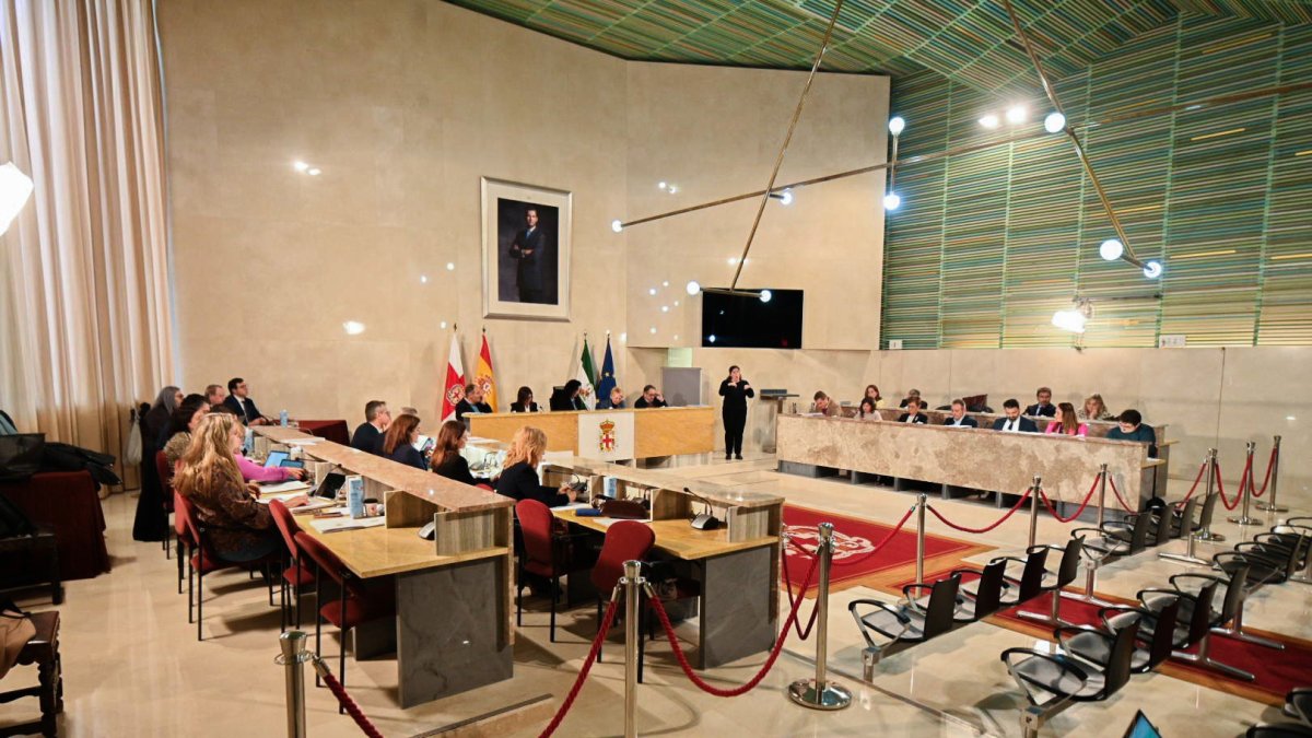 Vista general de un Pleno del Ayuntamiento de Almería en una imagen de archivo.