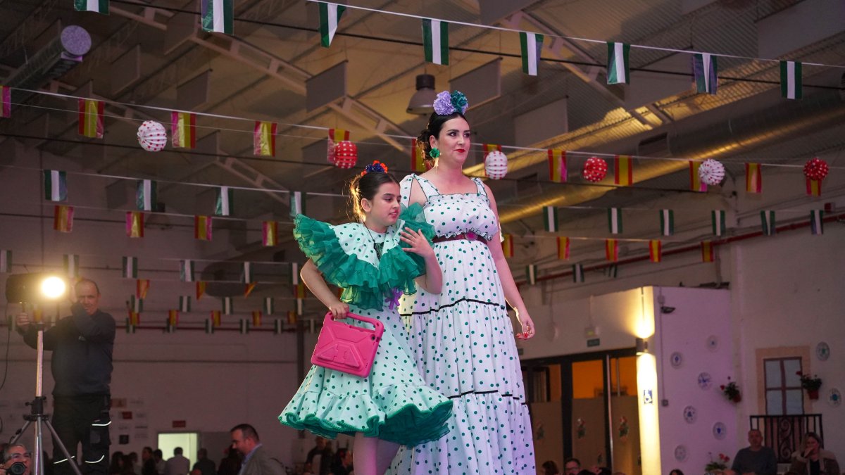 Gala Vive en Flamenco.