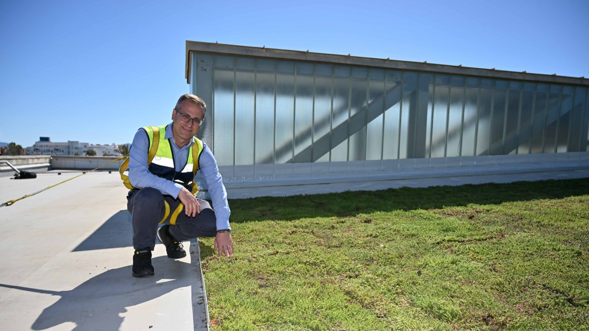 Cubierta vegetal de El Toyo.