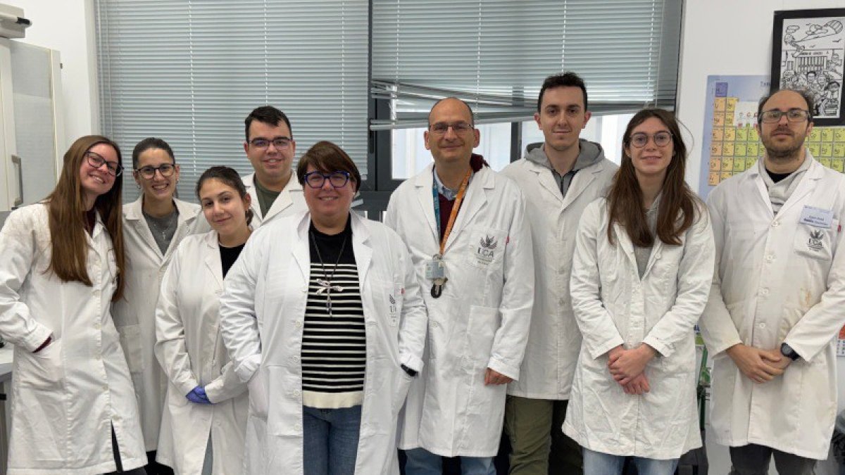 El equipo de investigación de la Universidad de Cádiz (Cádiz).
