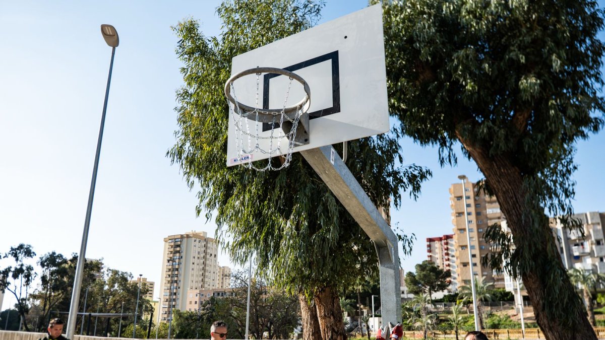 Una de las canastas instaladas en la Rambla de San Antonio.