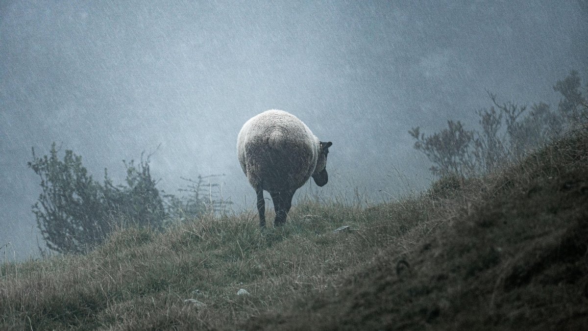 Pérdidas de más de 3.500 millones de euros