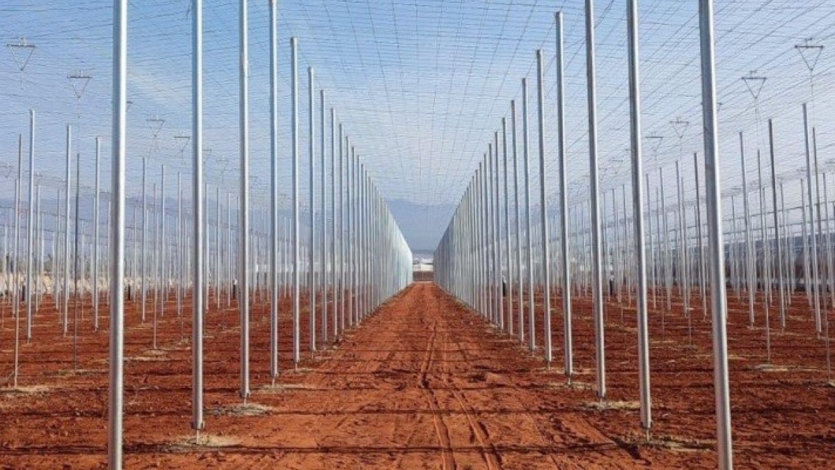 Estructuras de invernadero de alta tecnología desarrolladas por Agroinver.
