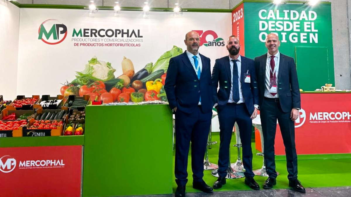 Juan José Vargas Rodríguez, Miguel J. Vargas y Raúl Vargas de Mercophal.