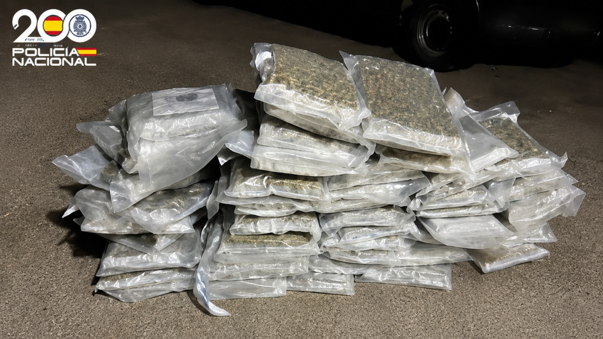 Marihuana encontrada en el interior de la furgoneta en la que viajaban tres vecinos de Almería y de Murcia.