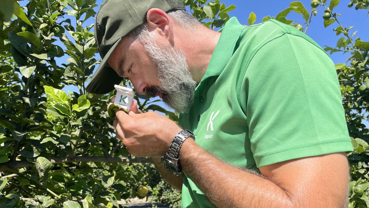 Juan Antonio Esclápez, experto en cítricos de Koppert en la Comunidad Valenciana