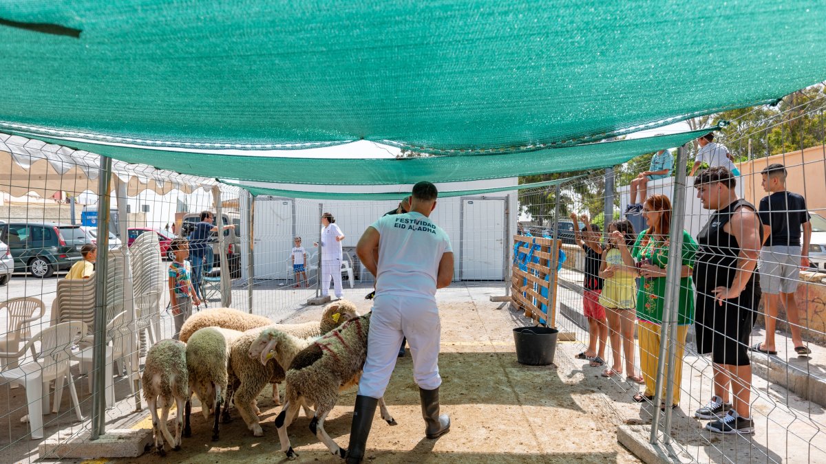 Archivo - Celebración del Eid al-Adha, la Pascua del Cordero, en Ceuta.
