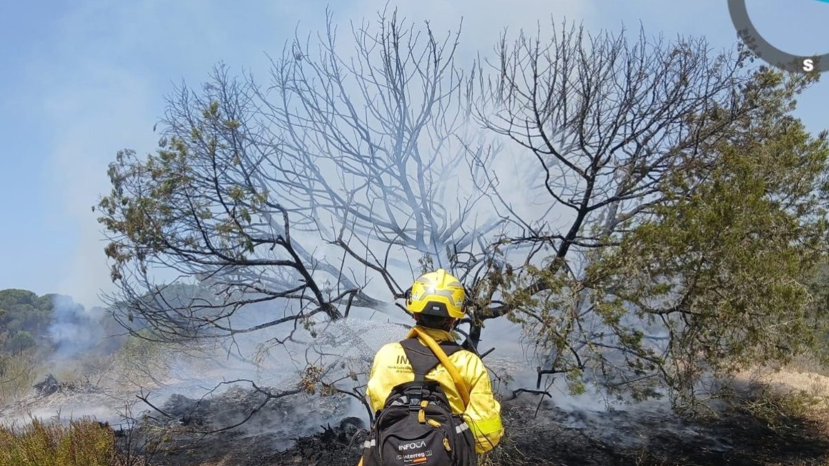 Bombero forestal trabajando para extinguir un incendio en imagen de archivo.
