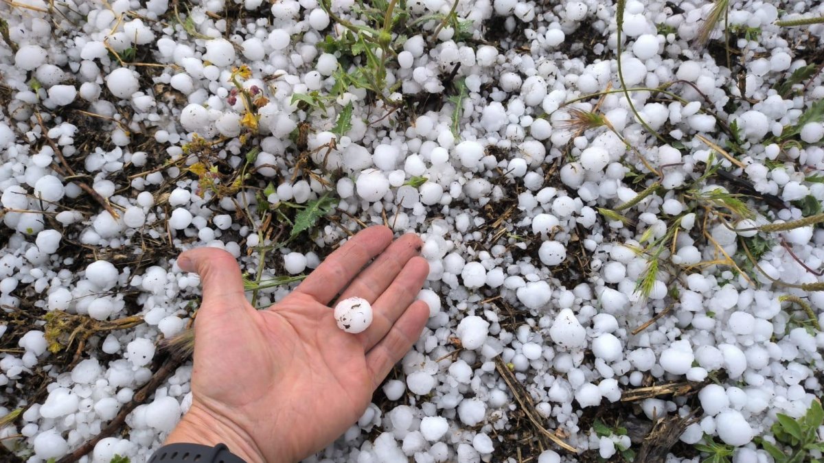 Desde ASAJA Almería se anima a todos los agricultores a informarse y estudiar las diferentes opciones de aseguramiento disponibles